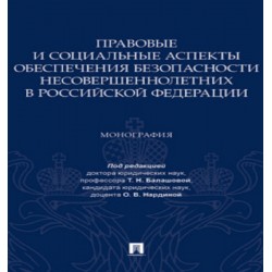 Правовые и социальные аспекты обеспечения безопасности несовершеннолетних в Российской Федерации.