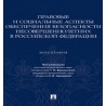 Правовые и социальные аспекты обеспечения безопасности несовершеннолетних в Российской Федерации.